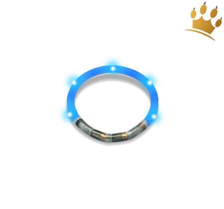 Hundeleuchtring Blau