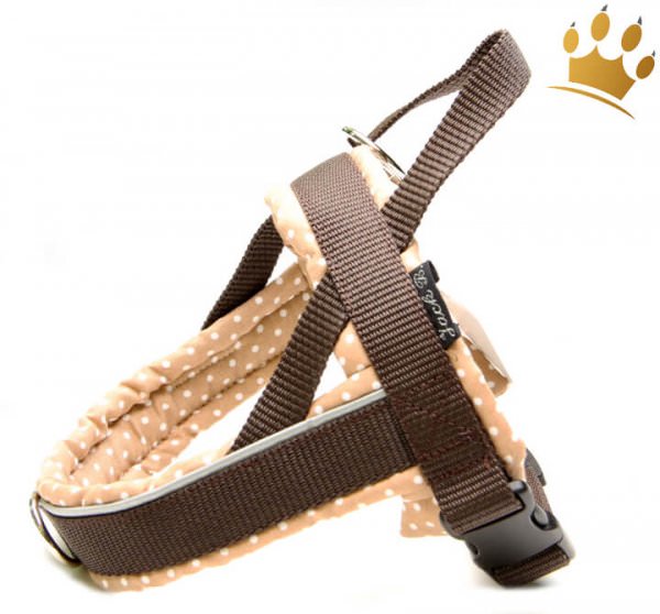 Jack-B Hundegeschirr Beige Dots Macchiato