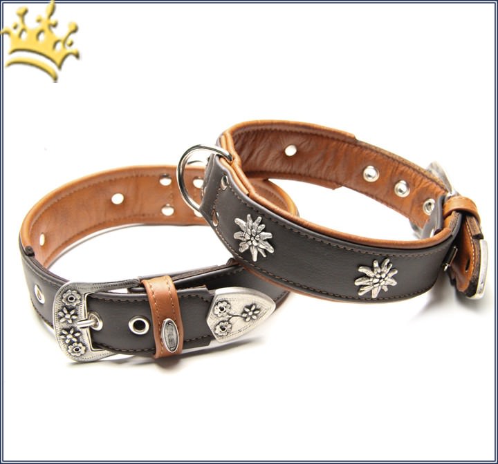 Hundehalsband Shop • Hundehalsbänder Leder online Halsbänder Alpen