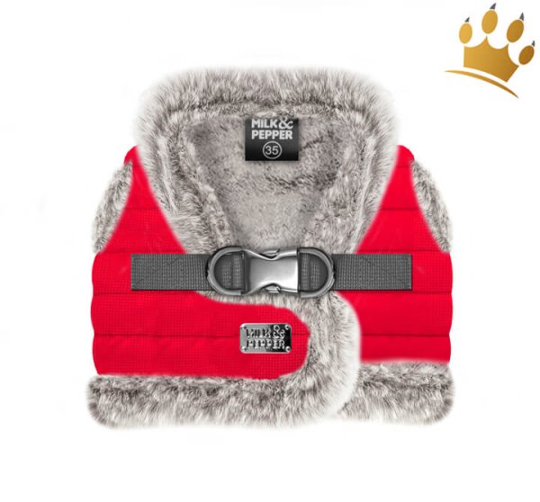 Milk & Pepper Tomas Step In Hundegeschirr
