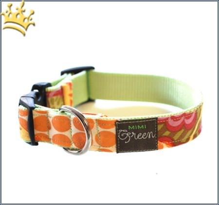 Hundehalsband Tangerine