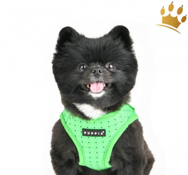 Puppia Step-In Geschirr Bonnie Grün