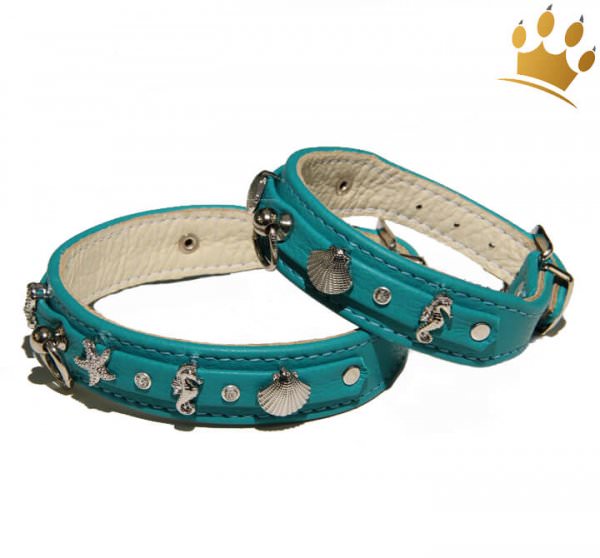Hundehalsband Meeresbrise Türkis