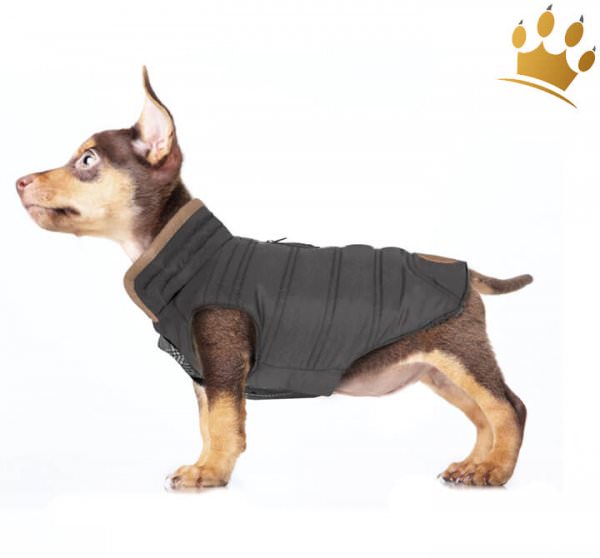 Milk & Pepper Hundemantel Cardfiff