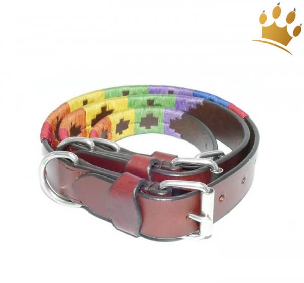 Kipita Hundehalsband Rainbow