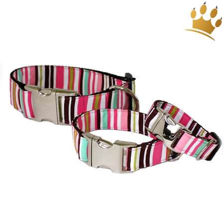Hundehalsband A Lot Of Stripes