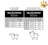 : Milk & Pepper : Milk & Pepper Hunderegenmantel Stuart Mops/Bully