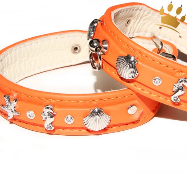 Hundehalsband Meeresbrise Orange