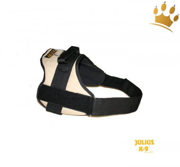 Julius-K9® Talking Power Pro earth