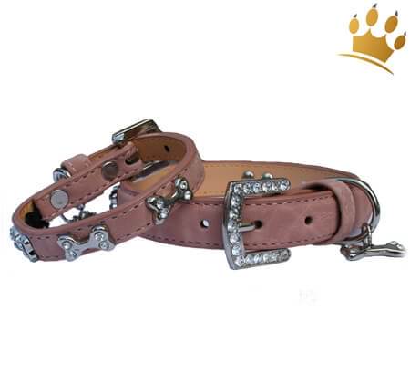 Hundehalsband Kingston Altrosé