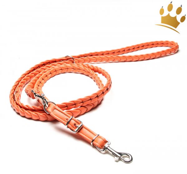 Hundeleine Leder Ascot Orange 200cm
