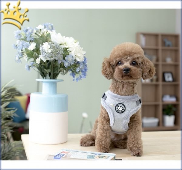 Puppia Step-In Geschirr Pia Hund