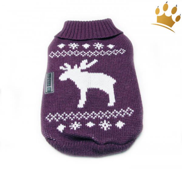 Hundepullover Little Elch Pflaume