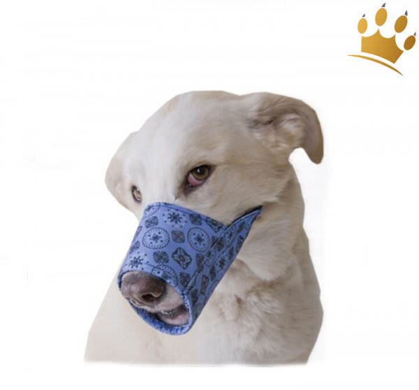 Hundemaulkorb Blue Bandana