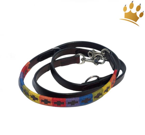 Kipita Hundleine Rainbow