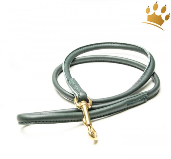 Hundelederleine Rundgenäht 100cm Grün