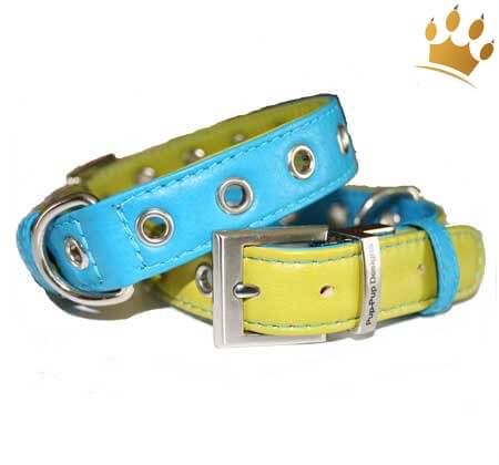 Hundehalsband PuP-PuP TM Türkis/Green