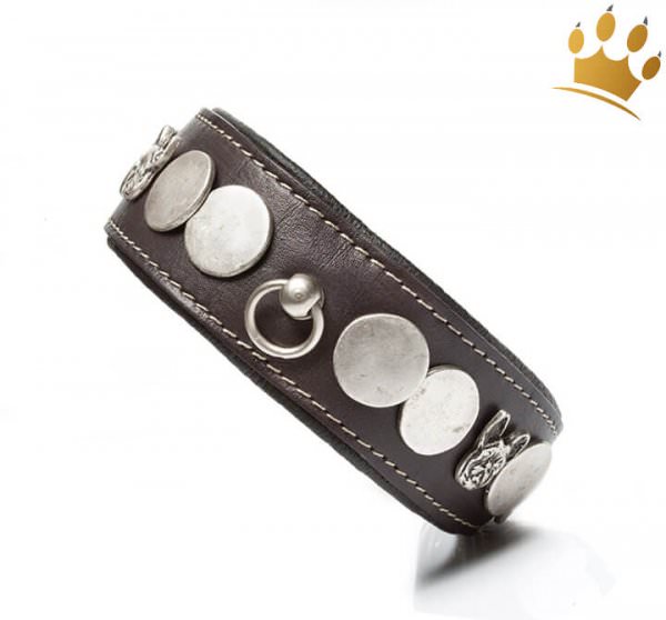 Malucchi Hundehalsband Ratier Bulldogge Schwarz