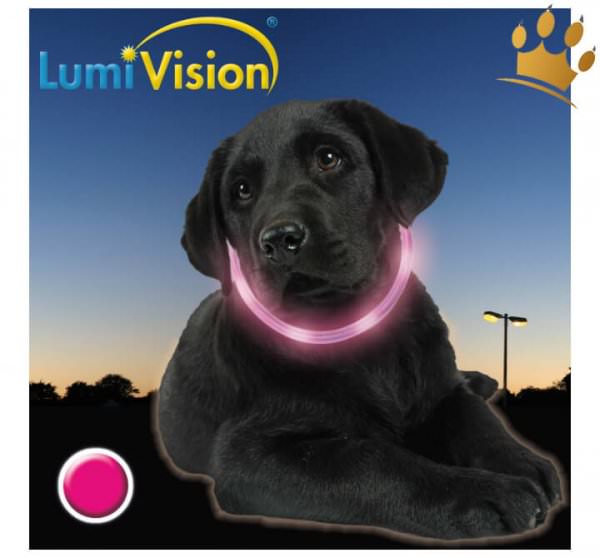 Hundeleuchthalsband led akku Pink