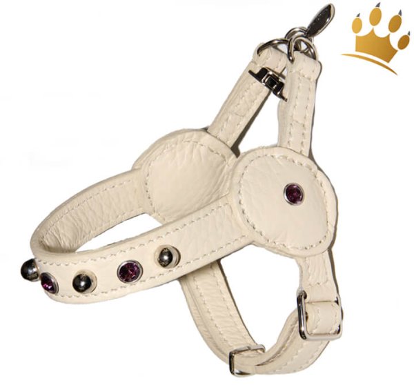 Malucchi Hundegeschirr Movie Bright Creme