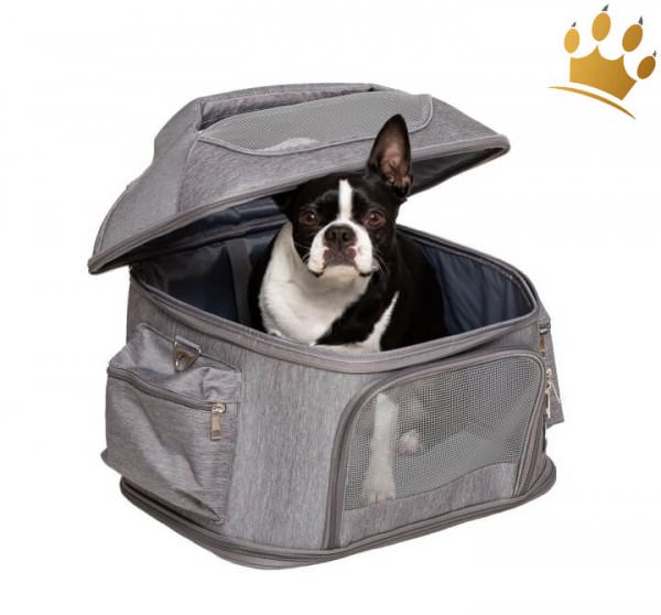 Autobox Chiara Sky Grau