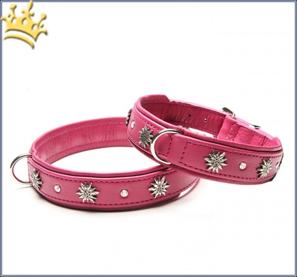 Hundehalsband Edelweiß Bavaria Himbeere