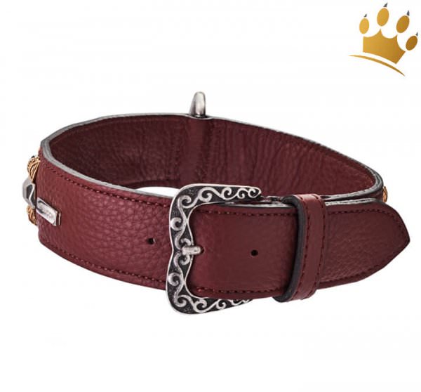 Malucchi Hundehalsband Petra 4cm Braun