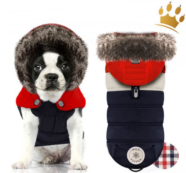 Milk & Pepper Hundemantel Avoriaz Bully