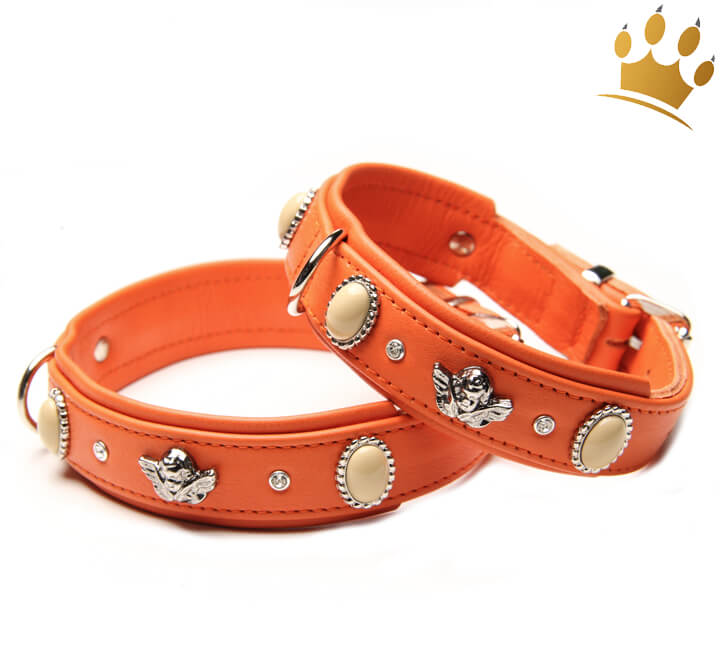 Luxus Hundehalsband, Leder, Orange, 5 Ohr-Tunnel, kleine Hunde