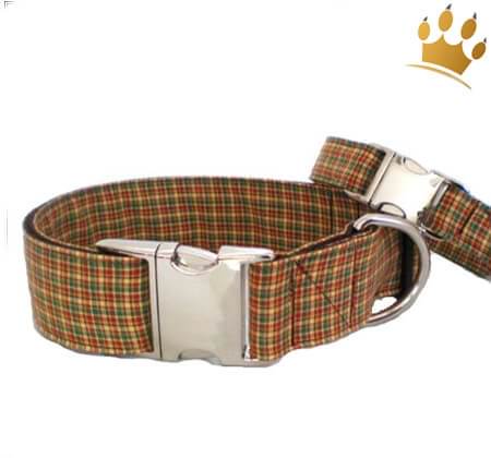 Hundehalsband British Open