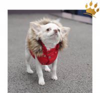 : Puppyangel Hundeweste : Puppyangel Hundeweste Double Down Hood Rot