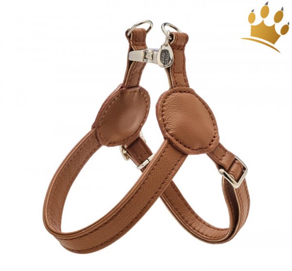 Malucchi Hundegeschirr Movie Cognac