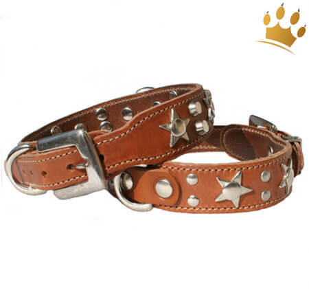 Galguita Hundehalsband ‚Star‘, Größe M (30–39 Cm), Blau, Martingale-System, Waschbar