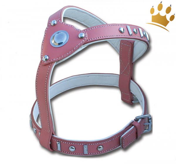 Hundegeschirr Princess Rosa