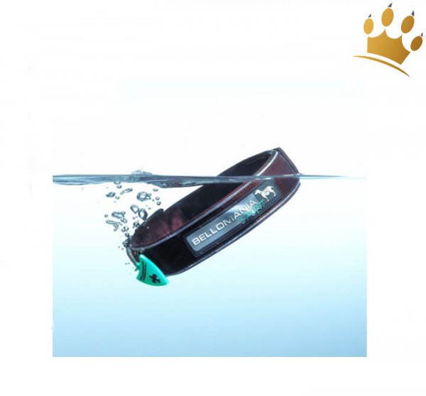 Hundehalsband Bellomania Wanda