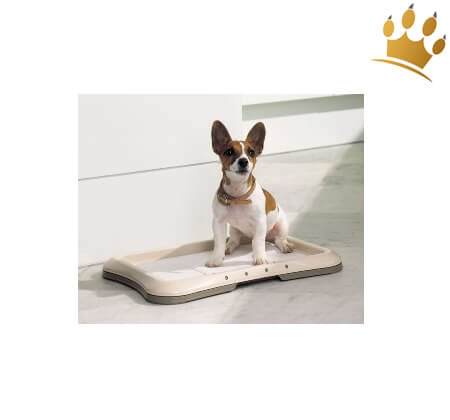 Savic Puppy Trainer Hundetoilette