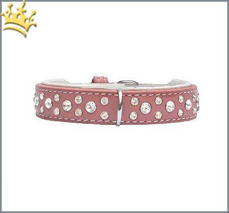 Hundehalsband Miami Pink 20mm