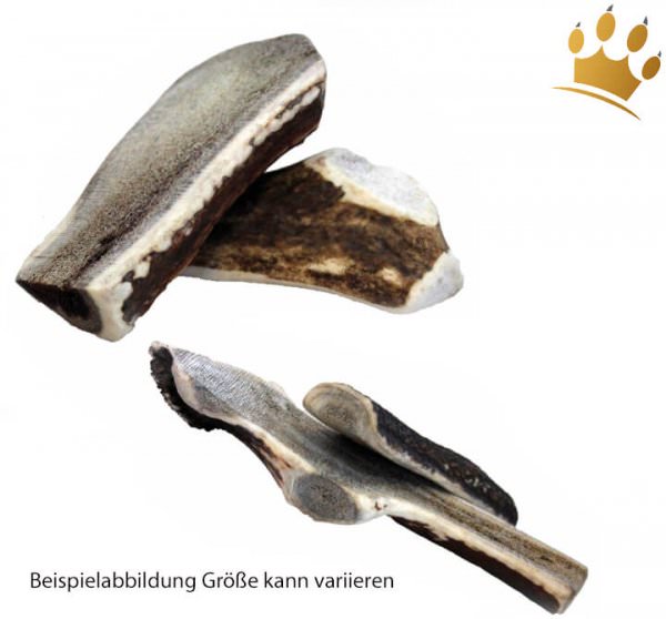 Hunde-Kauknochen aus Hirschgeweih
