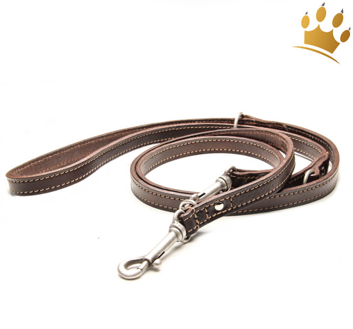 Leder-Hundeleine Für Kleine Hunde – Verstellbar 100-200 Cm, 10 Mm Breit, Braun