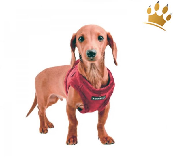 Puppia Step In Hundegeschirr Terry weinrot