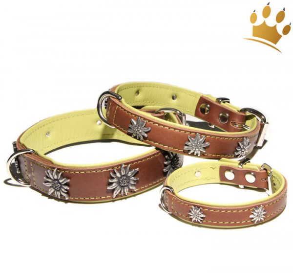 Hundehalsband Edelweiß Tirol Braun/Pistazie