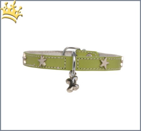 Hundehalsband Silverstar Pistazie
