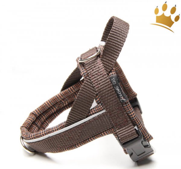 Jack-B Hundegeschirr Karo Braun
