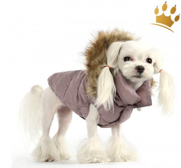Puppyangel Hundemantel Down Hood Violette