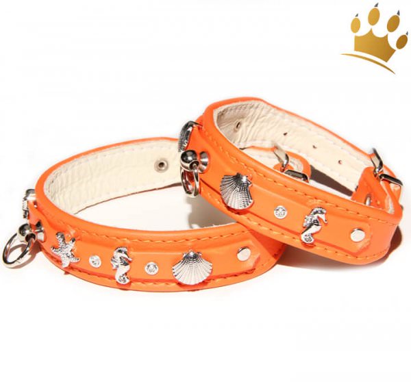 Hundehalsband Meeresbrise Orange
