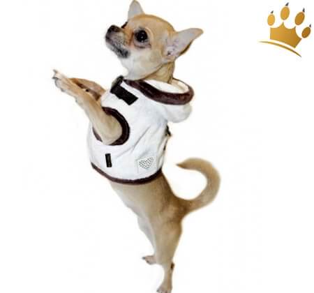 Step-In Hundegeschirr Little Darling Crema