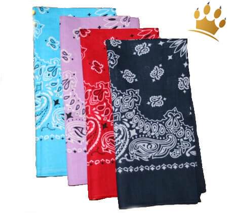 Bandanas Paisley