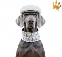 : Duftmarke Hunde-Loop : Duftmarke Hunde-Loop Seehund 3