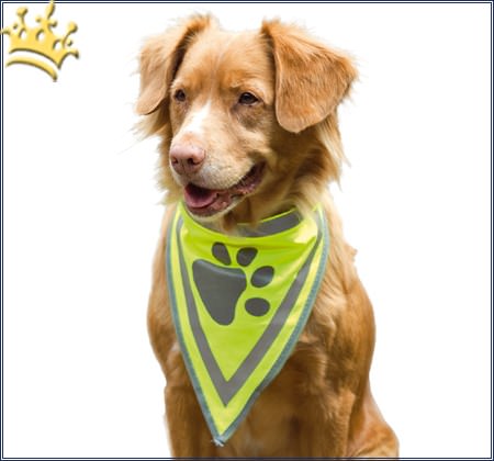Hunde-Sicherheitshalstuch