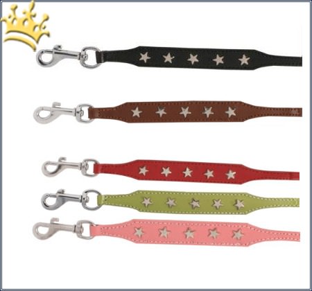 Hundeleine Silverstar